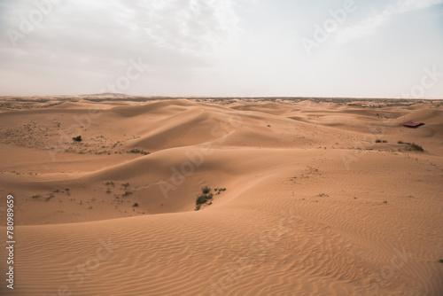 Corrosive sand in the Gobi desert in Inner Mongolia region  China