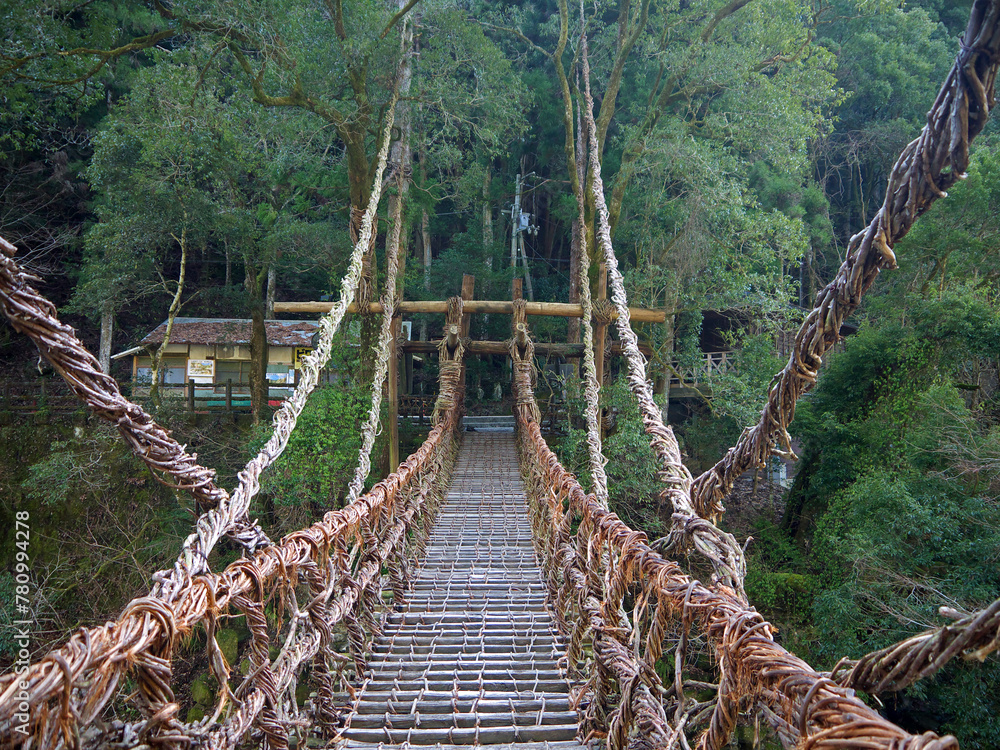 Obraz premium Walking on Kazurabashi rope bridge on Shikoku, Japan