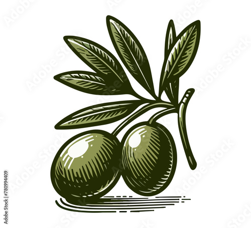 green olive hand drawn vector illustration
