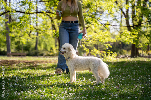 Unrecognizable woman with her poodle in the park 