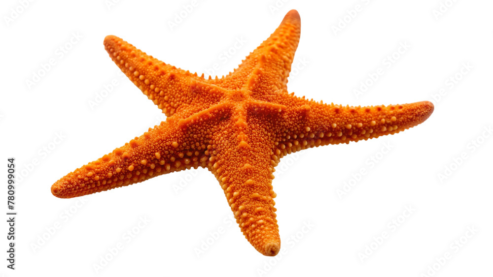 Orange starfish isolated on transparent background Orange starfish isolated on transparent background