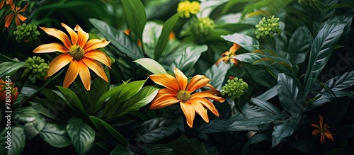 Lush orange flowers flourishing in a vibrant garden setting, adding a pop of color to the landscape