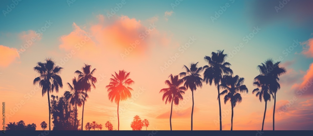 Silhouetted palm trees in the foreground against a stunning colorful sunset sky as the day ends