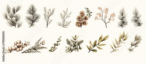 A diverse assortment of plant varieties and colorful flowers set against a clean white background
