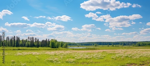 Serene view of a lush meadow with a tranquil lake and towering trees in the background  showcasing the beauty of nature