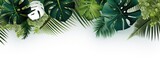 Vibrant green tropical leaves and dramatic monster leaves set against a simple white background