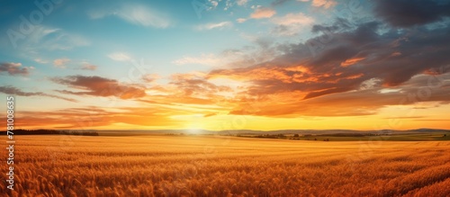 Golden wheat field bathed in the warm light of sunset, with the sun gently setting in the horizon, creating a serene and picturesque scene © Ilgun