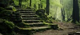 Stone staircase in the forest surrounded by lush green moss and natural elements, creating a serene and enchanting atmosphere