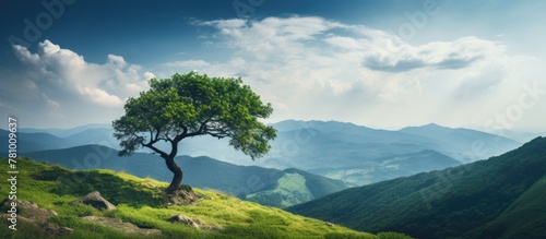 Tree standing on a sloping hill with majestic mountains in the far background