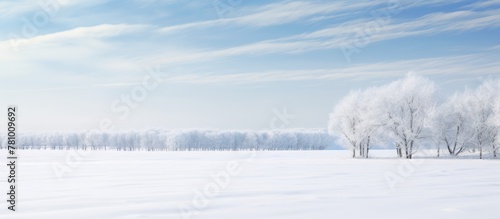 A serene scene of snow-covered terrain dotted with trees under a blue sky adorned with fluffy clouds