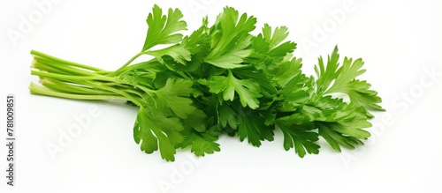 A bunch of vibrant green parsley leaves arranged on a clean white tabletop