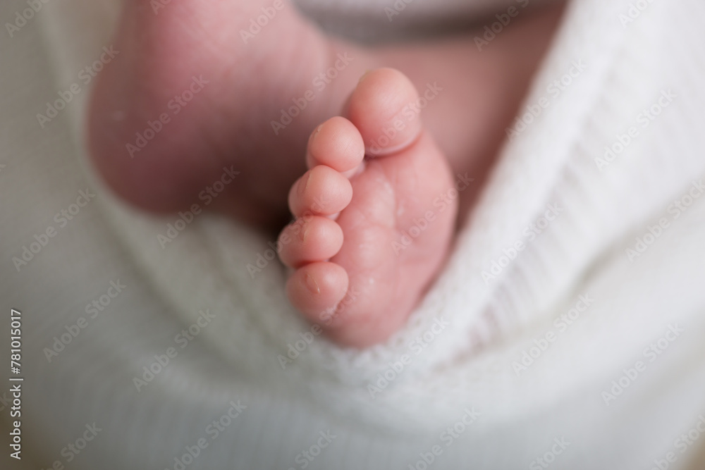 Little newborn baby feet portrait photography Little newborn baby feet portrait photography