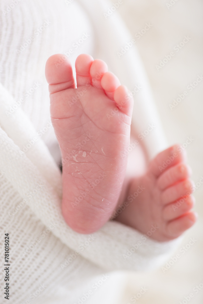 Little newborn baby feet portrait photography  