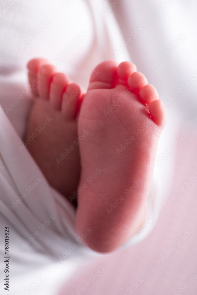 Little newborn baby feet portrait photography Little newborn baby feet portrait photography