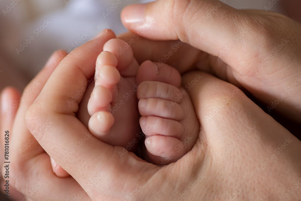 Little newborn baby feet portrait photography Little newborn baby feet portrait photography