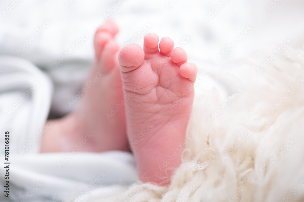 Little newborn baby feet portrait photography Little newborn baby feet portrait photography