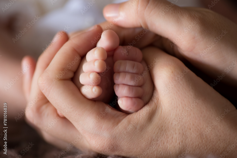 Little newborn baby feet portrait photography Little newborn baby feet portrait photography