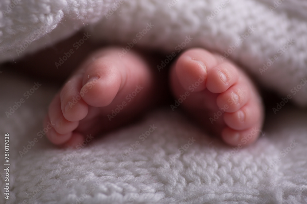 Little newborn baby feet portrait photography Little newborn baby feet portrait photography