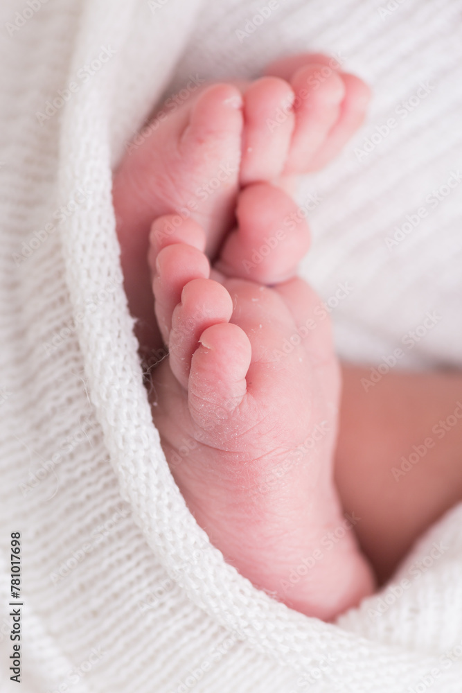 Little newborn baby feet portrait photography Little newborn baby feet portrait photography