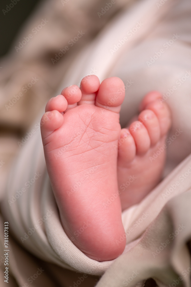 Little newborn baby feet portrait photography Little newborn baby feet portrait photography