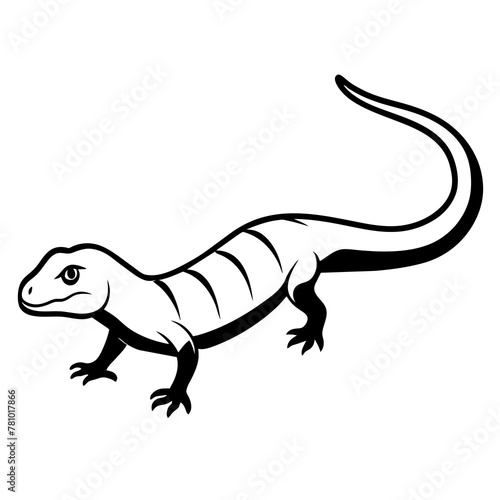 lizard on white