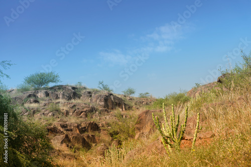 Welded tuff, massive volcanic pink rocks of Rao Jodha Desert Rock Park, Jodhpur, Rajasthan, India. Near the historic Mehrangarh Fort , park contains ecologically restored desert and land vegetation.