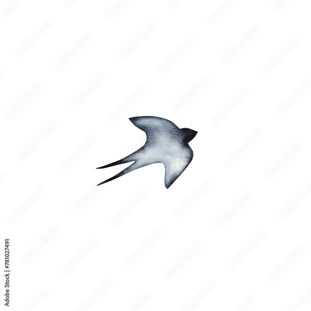 Obraz premium Swallow, martlet. Clear white sky, bird in natural habitat. Barn swallow flying, wings spread. Hirundo rustica on white background. Wildlife. Tattoo design, watercolor art, wild animals, free