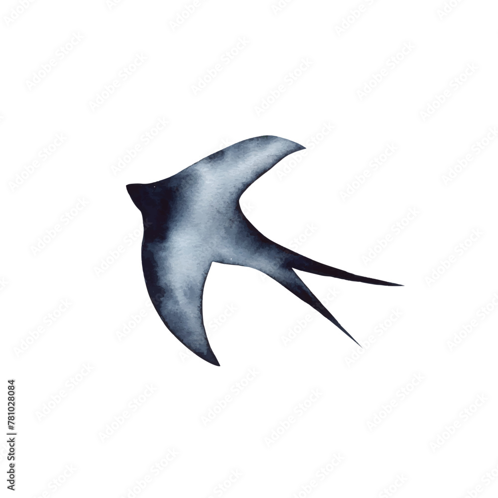 Swallow, martlet. Clear white sky, bird in natural habitat. Barn swallow flying, wings spread. Hirundo rustica on white background. Wildlife. Tattoo design, watercolor art, wild animals, free Swallow, martlet. Clear white sky, bird in natural habitat. Barn swallow flying, wings spread. Hirundo rustica on white background. Wildlife. Tattoo design, watercolor art, wild animals, free