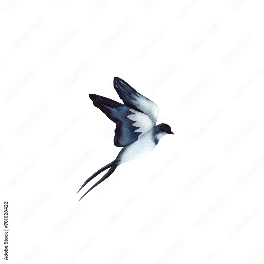 Obraz premium Swallow, martlet. Clear white sky, bird in natural habitat. Barn swallow flying, wings spread. Hirundo rustica on white background. Wildlife. Tattoo design, watercolor art, wild animals, free