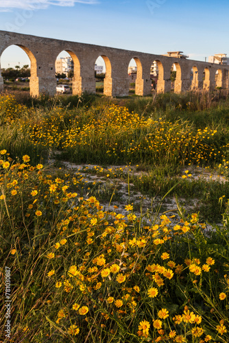 Kamares Aqueduct in Larnaca in spring with yellow flowers on the field, Cyprus