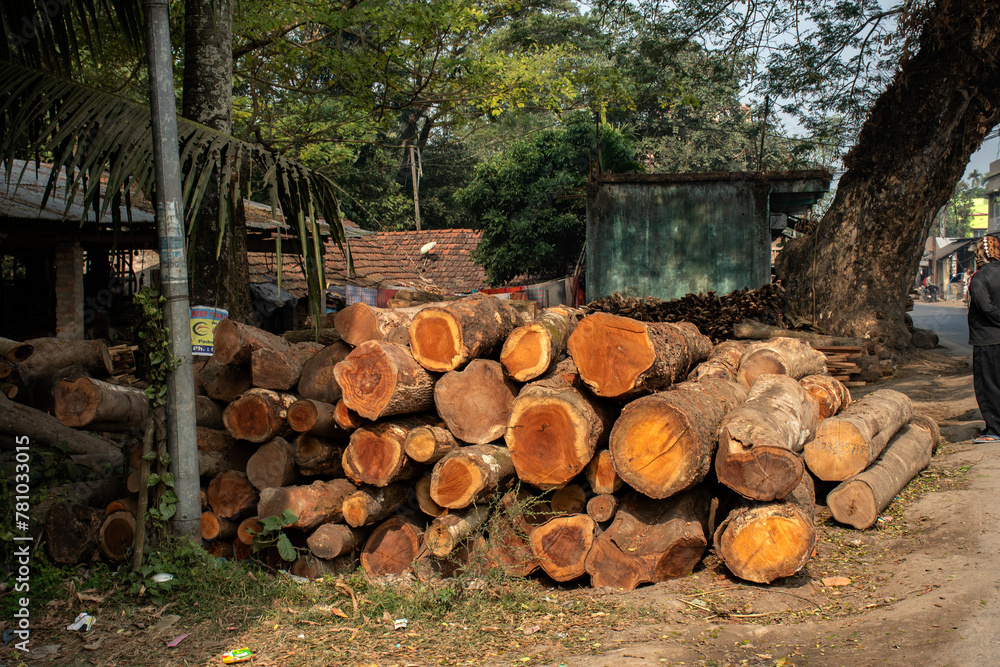 Log trunks pile, the logging timber wood industry.