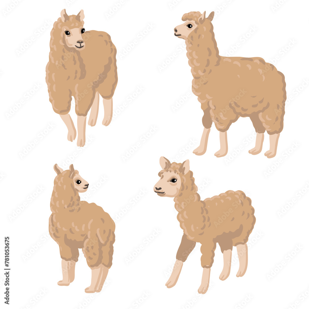 Obraz premium vector drawing llama, animals isolated at white background, hand drawn illustration