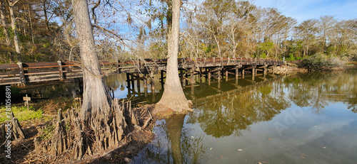 Hayes, Calcasieu Parish, Louisiana - Nov 25, 2023: A scenic landscape view of the Lorrain Bridge over swamp water in the Lacassine Bayou in Hayes, Louisiana. 