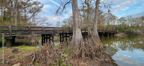Hayes, Calcasieu Parish, Louisiana - Nov 25, 2023: A scenic landscape view of the Lorrain Bridge over swamp water in the Lacassine Bayou in Hayes, Louisiana. 