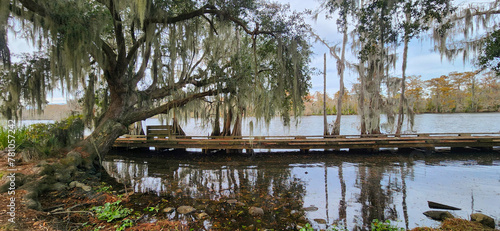 A scenic view of Fairview-Riverside State Park in Madisonville, Louisiana. photo