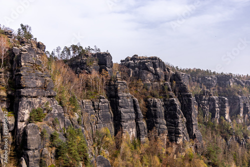 Wallpaper Mural Eine frühlingshafte Wandertour über die Hirschmühle zum Carolafelsen in der Sächsische Schweiz - Schmilka - Sachsen - Deutschland Torontodigital.ca
