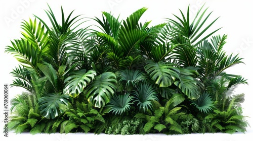 Tropical leaves foliage plant bush floral arrangement nature backdrop isolated on white background.