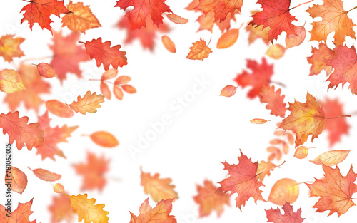 Rectangle frame with leaves fall blur. Autumn falling maple leaves with copy space. Abstract background