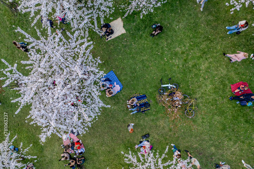 Aerial spring view of sakura blooming in Vilnius downtown, Lithuania
