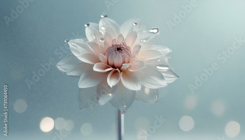pink flower in vase, Glass dahlia, stainless steel background, soft light blue background, Ai Generate