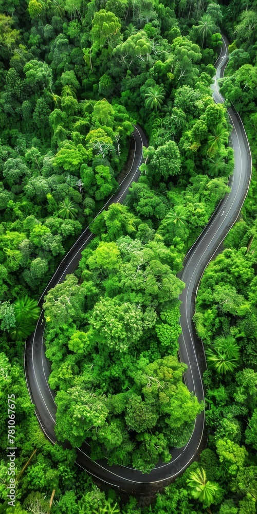 A Serpentine Road Meanders Through the Lush Expanse of a Dense Tropical Rainforest, Generative AI