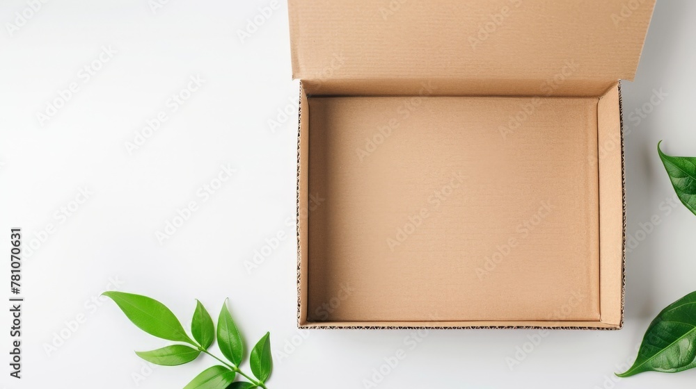 Box with plant on white surface