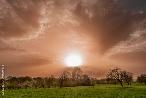 Auf- oder untergehende Sonne mit von Saharastaub orange bis rötlich gefärbtem milchig-trübem Himmel mit Wolken über landwirtschaftlich genutzter Fläche und Bäumen photo
