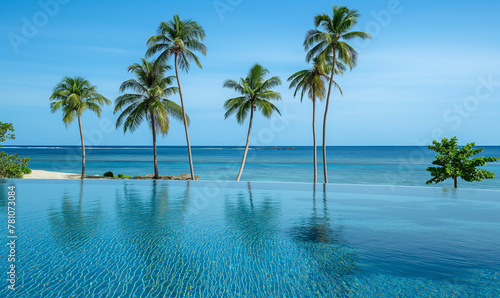 A serene tropical island with palm trees  clear blue water and an infinity pool