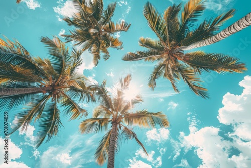 A Tranquil Gaze Upwards at Palm Trees Soaring Against a Perfectly Clear Blue Sky, Invoking Tropical Serenity, Generative AI