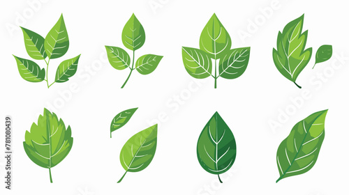Set of green leaf logo icon isolated on white background