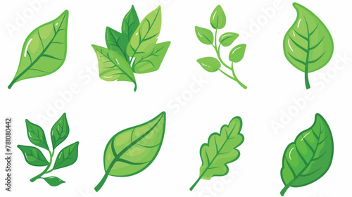 Set of green leaf logo icon isolated on white background