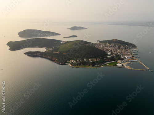 Canvas Print Aerial view of a prinsess island buyukada in Istanbul, Turkey