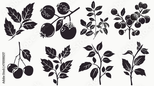 Single seed fruit silhouette vector in image by hand photo