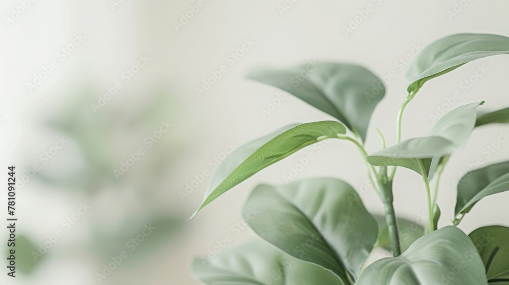 Green leaves of an artificial plant close-up, on a light background. Soft focus. Green leaves of an artificial plant close-up, on a light background. Soft focus.